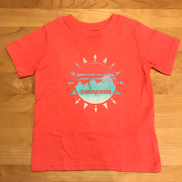 patagonia(パタゴニア)の［専用］4T パタゴニア Tシャツ 他1点 キッズ/ベビー/マタニティのキッズ服女の子用(90cm~)(Tシャツ/カットソー)の商品写真