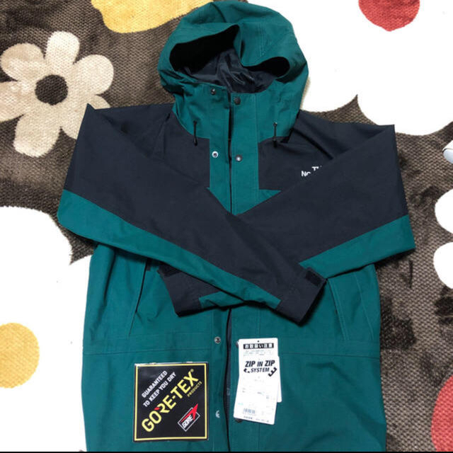 THE NORTH FACE(ザノースフェイス)の美品 the north face mountain light jacket  メンズのジャケット/アウター(マウンテンパーカー)の商品写真