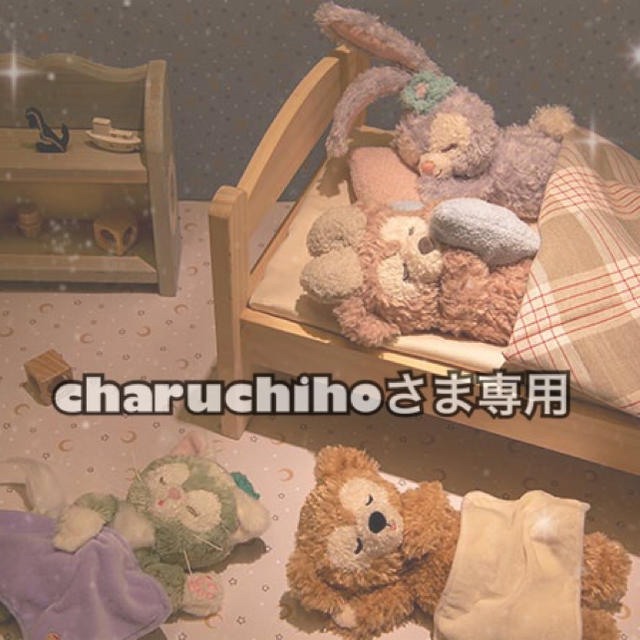 ⚠️予約品⚠️charuchihoさま専用ページ - キャラクターグッズ