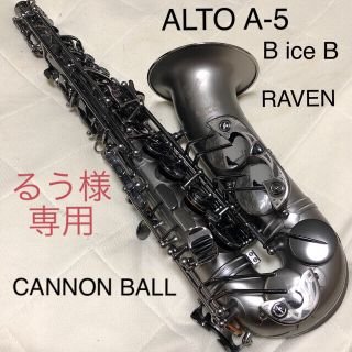 値引中！【良品中古】CANNON BALL アルトサックス A5 B ice B(サックス)