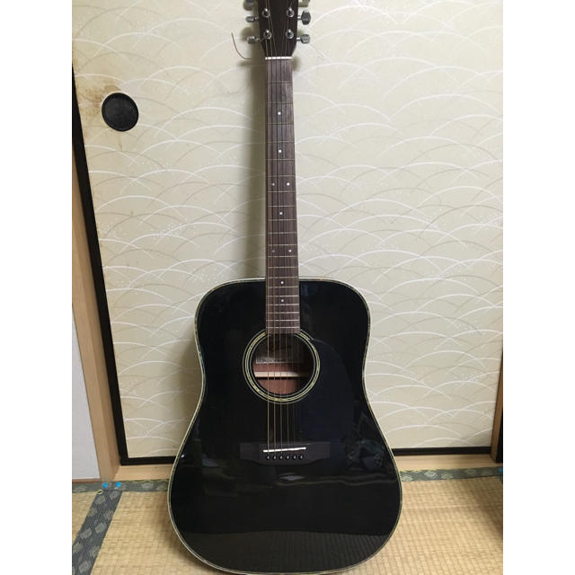 ADW-300 Aria(アリア) アコースティック・ギター ADW-300 Aria(アリア) アコースティック・ギター