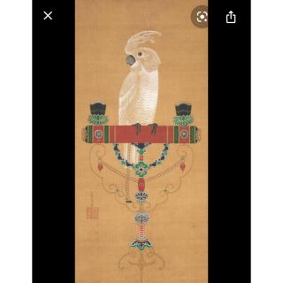 伊藤若冲 鸚鵡図 注染手ぬぐい 梨園染の通販 by ふう|ラクマ