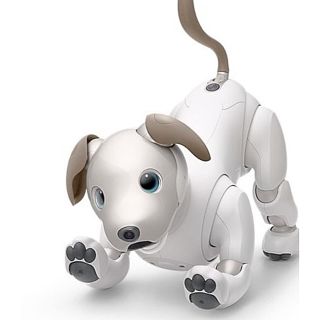 ソニー(SONY)の新型アイボ SONY aibo ２０１９年４月購入 美品(その他)