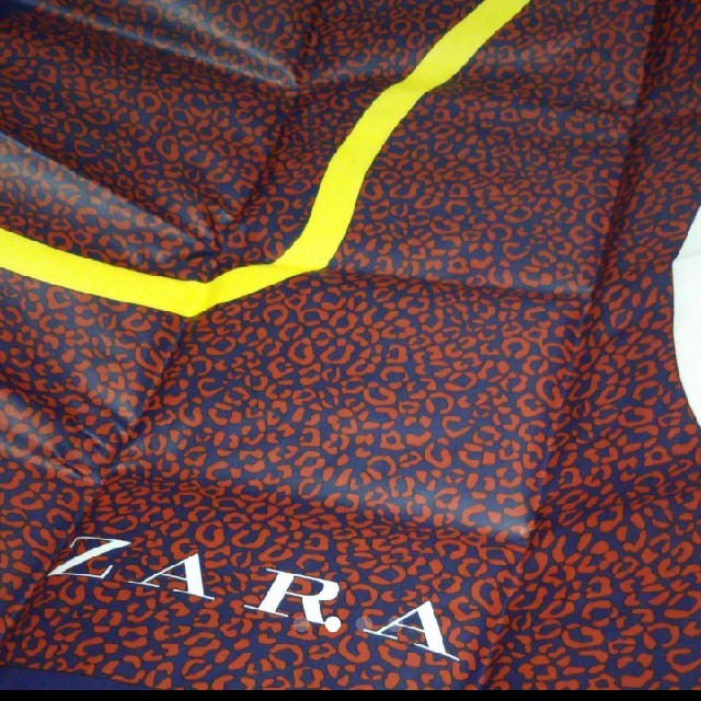 ZARA(ザラ)のZARA ピクニックシートお値下げ レディースのファッション小物(その他)の商品写真
