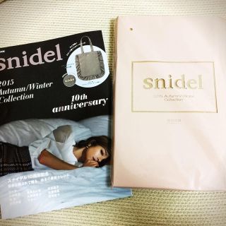 スナイデル(SNIDEL)のsnidel ムック本 付録(ハンドバッグ)