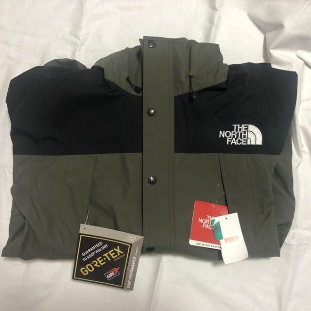 THE NORTH FACE MOUNTAIN LIGHT JK 1