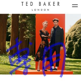 テッドベイカー(TED BAKER)のデッドベーカー メンズ  Tシャツ  専用ページ(Tシャツ/カットソー(半袖/袖なし))