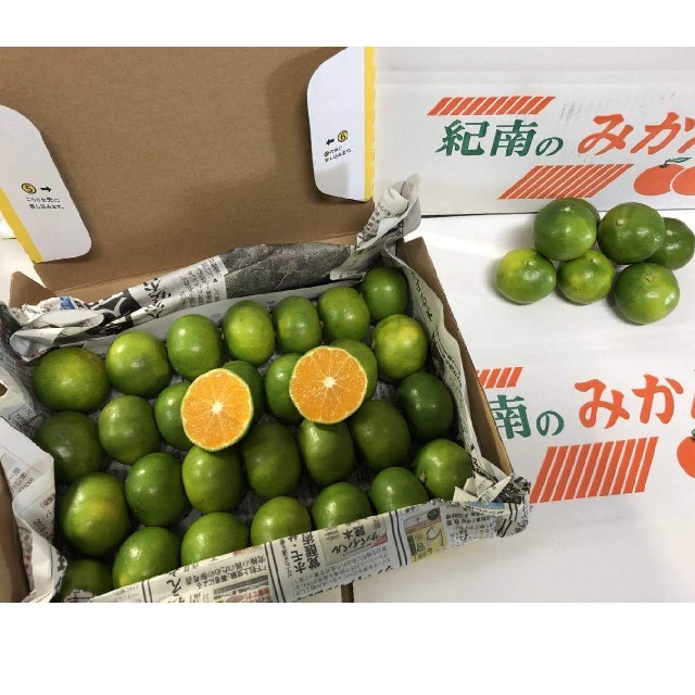 紀南みかん 秀品 24～28玉 K279 SSサイズ 和歌山県上秋津地区 食品/飲料/酒の食品(フルーツ)の商品写真