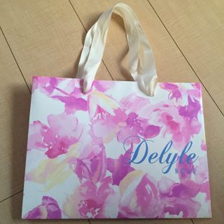 デイライルノアール(Delyle NOIR)のデイライルノアール(ショップ袋)