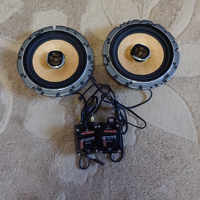 Pioneer TS-TRX800 PIONEER パイオニアTS-TRX800サブウーファースピーカー