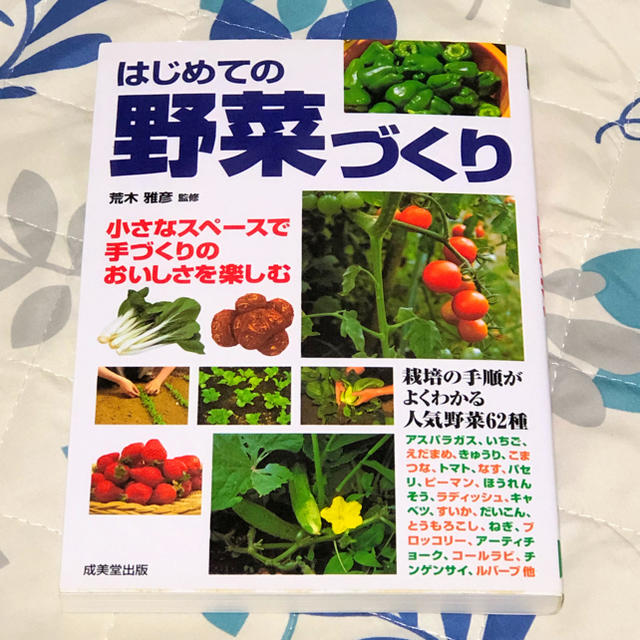 はじめての野菜づくり エンタメ/ホビーの本(趣味/スポーツ/実用)の商品写真