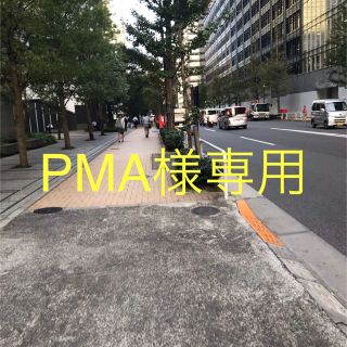 ルノー(RENAULT)のPMA様専用(車外アクセサリ)