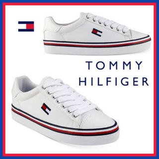 トミーヒルフィガー(TOMMY HILFIGER)のトミーヒルフィガー シュージ スニーカー 靴 レディース ロゴ フラッグ (スニーカー)