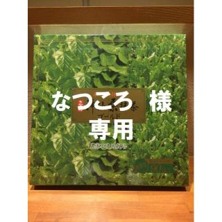 神仙桑抹茶ゴールド90（3g×90包）(青汁/ケール加工食品)