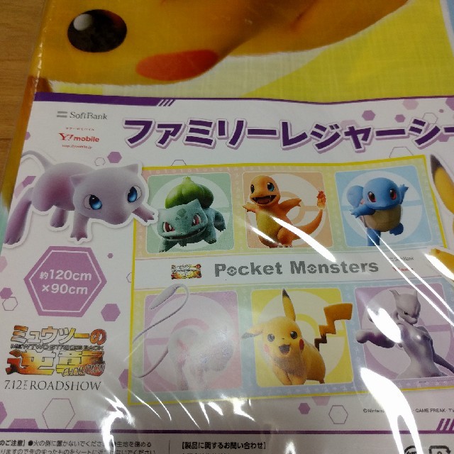 ポケモン(ポケモン)の☆yuiii様専用☆非売品　ポケモン バスタオル＆レジャーシート エンタメ/ホビーのおもちゃ/ぬいぐるみ(キャラクターグッズ)の商品写真