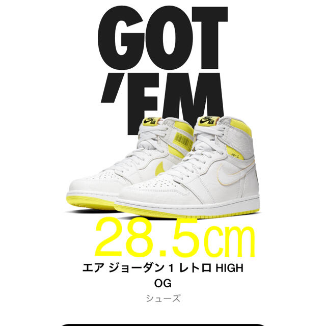 NIKE AIR JORDAN 1 FIRST CLASS  28.5㎝