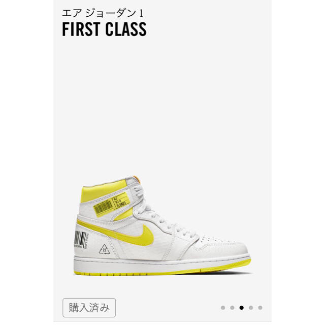 NIKE AIR JORDAN 1 FIRST CLASS  28.5㎝