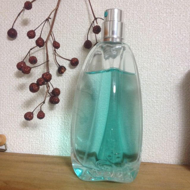 ANNA SUI(アナスイ)のアナスイ アナスイシークレットウィッシュ コスメ/美容の香水(香水(女性用))の商品写真