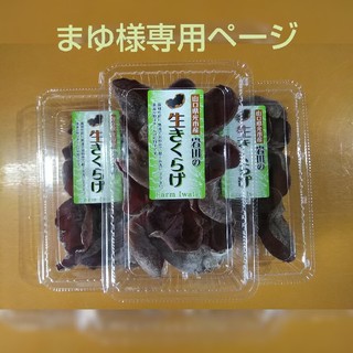 山口県光市産　生キクラゲ　たっぷり(野菜)