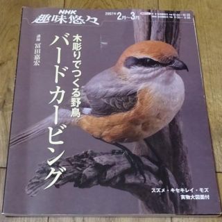 趣味悠々　2007年2月～3月　バードカービング(趣味/スポーツ/実用)