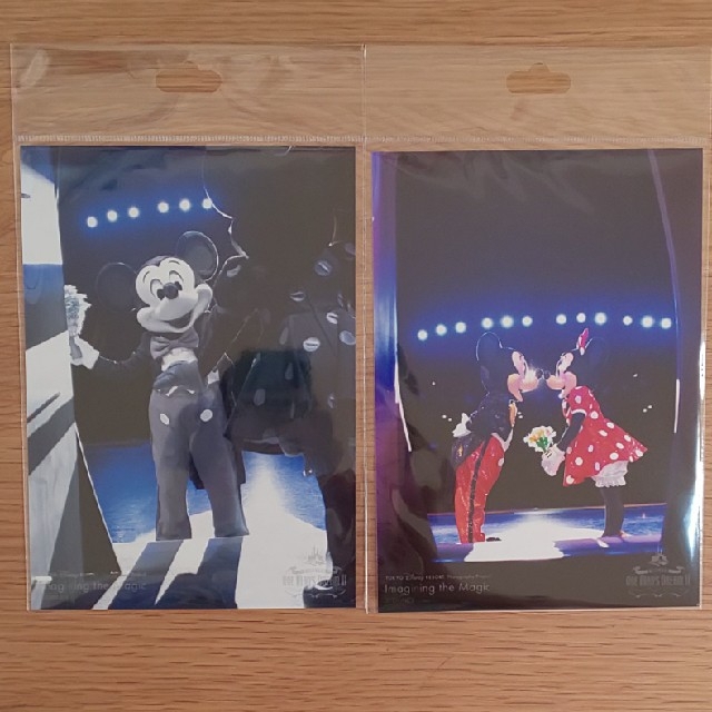 Disney(ディズニー)のワンマンズドリーム Ⅱ 写真 2枚 エンタメ/ホビーの声優グッズ(写真/ポストカード)の商品写真