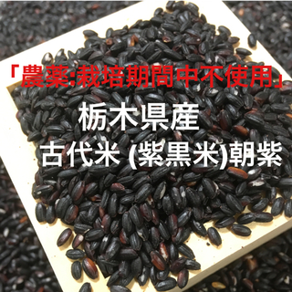 栃木県産 古代米(黒米) 900g 「農薬:栽培期間中不使用」(米/穀物)