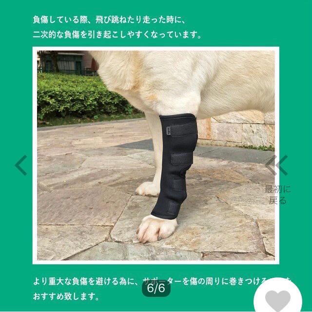 わんちゃんのサポーター その他のペット用品(犬)の商品写真