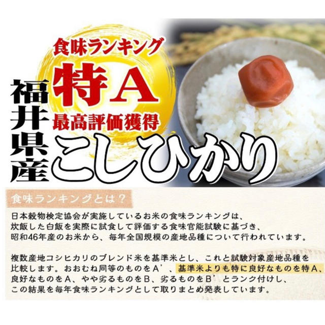 令和元年 新米 コシヒカリ 10kg(5kg×2袋) 福井県産 特A 送料無料 食品/飲料/酒の食品(米/穀物)の商品写真