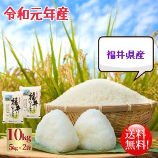 令和元年 新米 コシヒカリ 10kg(5kg×2袋) 福井県産 特A 送料無料(米/穀物)