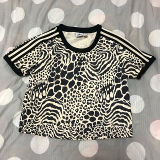 アディダス(adidas)のadidas Tシャツ(Tシャツ(半袖/袖なし))