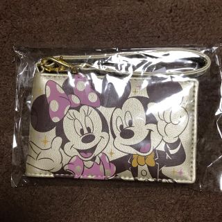 ディズニー(Disney)のディズニー 年パス パスケース 非売品(パスケース/IDカードホルダー)