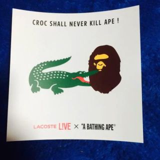 アベイシングエイプ(A BATHING APE)のLACOSTE&A BATHING APE コラボステッカー(Tシャツ/カットソー(半袖/袖なし))