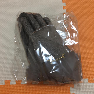 エージーバイアクアガール(AG by aquagirl)のアクアガール 手袋(手袋)
