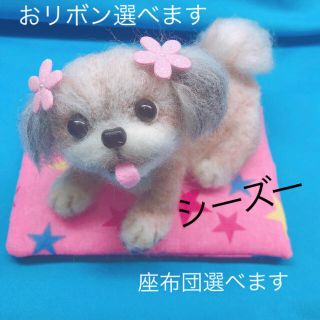 羊毛フェルト おとぼけ シーズー 犬 （リボン 座布団選べます）(ぬいぐるみ)