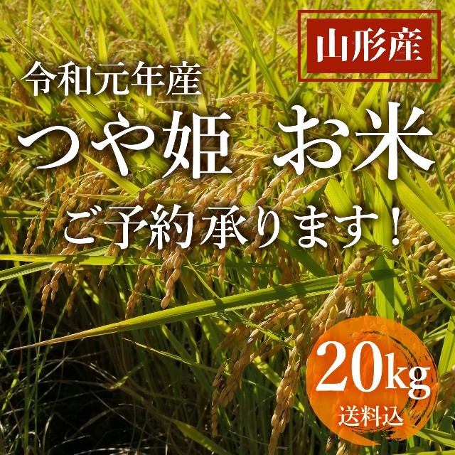 農家直送新米予約【農家直送】山形県産 つや姫　20kg 送料込【玄米or精米】