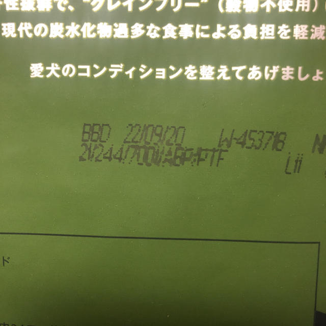 カナガンドッグフード2キロ