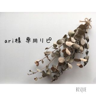 ari様 専用リピ(その他)