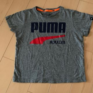 プーマ(PUMA)のPUMA Tシャツ(110)(Tシャツ/カットソー)