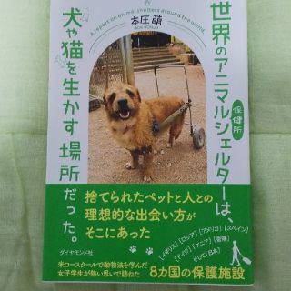 あるまる様専用 世界のアニマルシェルターは、 犬や猫を、、(科学/技術)