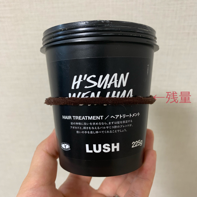 LUSH(ラッシュ)のLUSH 髪様 コスメ/美容のヘアケア/スタイリング(ヘアケア)の商品写真