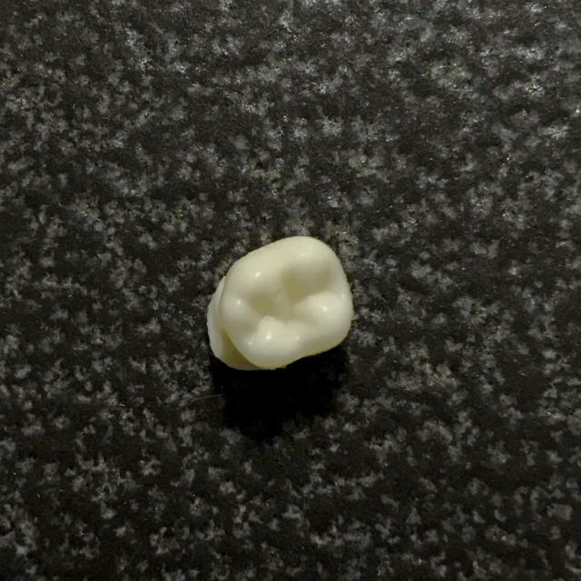 技工士製作❗️歯チョコ シリコンモールド  歯のみ  ハンドメイドのハンドメイド その他(その他)の商品写真