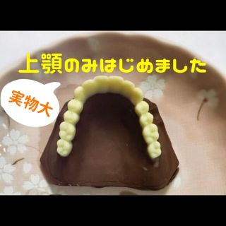 【値下げ中‼️】義歯チョコ(大 上顎のみ) シリコンモールド 入れ歯チョコ(その他)