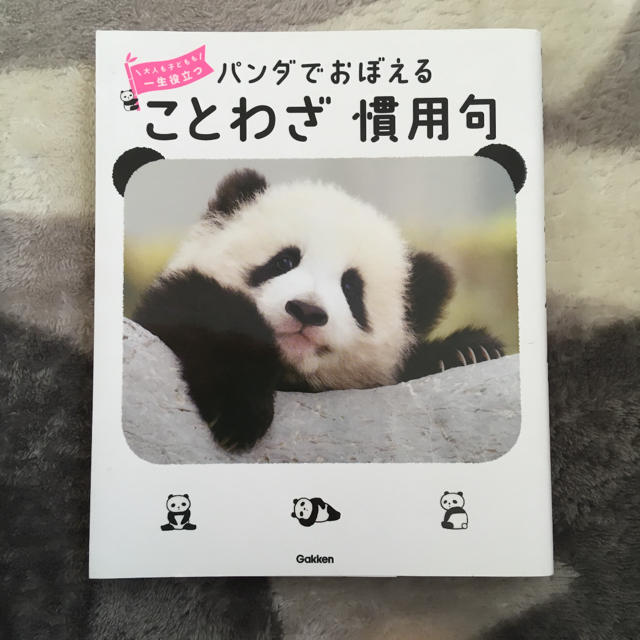 まつぼっくり様専用 パンダでおぼえることわざ慣用句 エンタメ/ホビーの本(語学/参考書)の商品写真