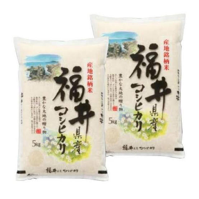 令和元年 新米 白米 コシヒカリ 福井県産 10kg(5kg×2)  お米 食品/飲料/酒の食品(米/穀物)の商品写真