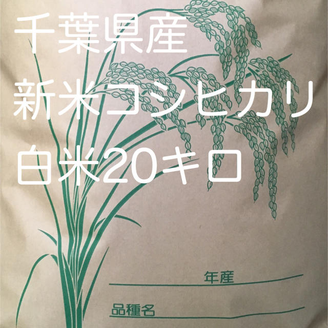 コシヒカリ白米20キロ食品/飲料/酒
