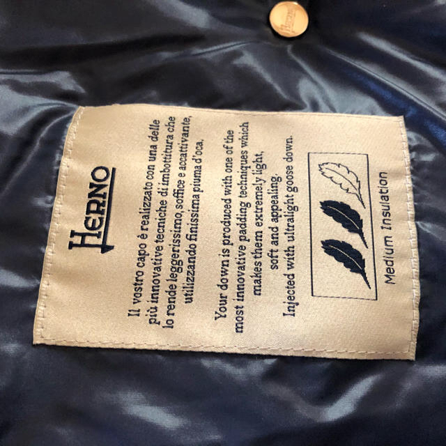 HERNO(ヘルノ)のヘルノ  超軽量ダウン レディースのジャケット/アウター(ダウンコート)の商品写真