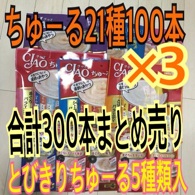 いなばペットフード(イナバペットフード)のakinyan様専用チャオちゅーる21種300本 その他のペット用品(猫)の商品写真