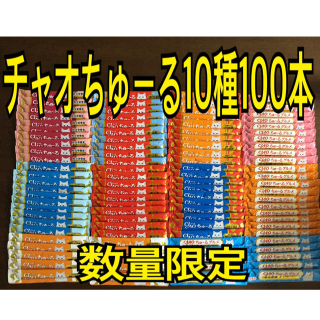 いなばペットフード(イナバペットフード)のphoo373様専用！チャオちゅーる300本 その他のペット用品(猫)の商品写真