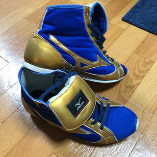 ミズノ(MIZUNO)のMIZUNOボクシングジュース(ボクシング)