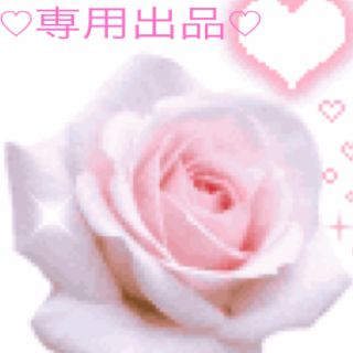 kn.0308様★専用(その他)